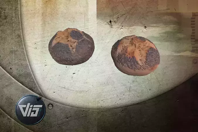 Scanned Bread Rolls 2