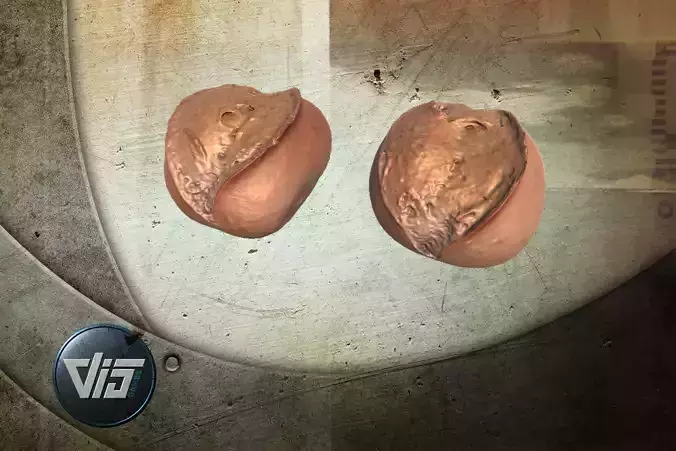 Scanned Bread Rolls 4