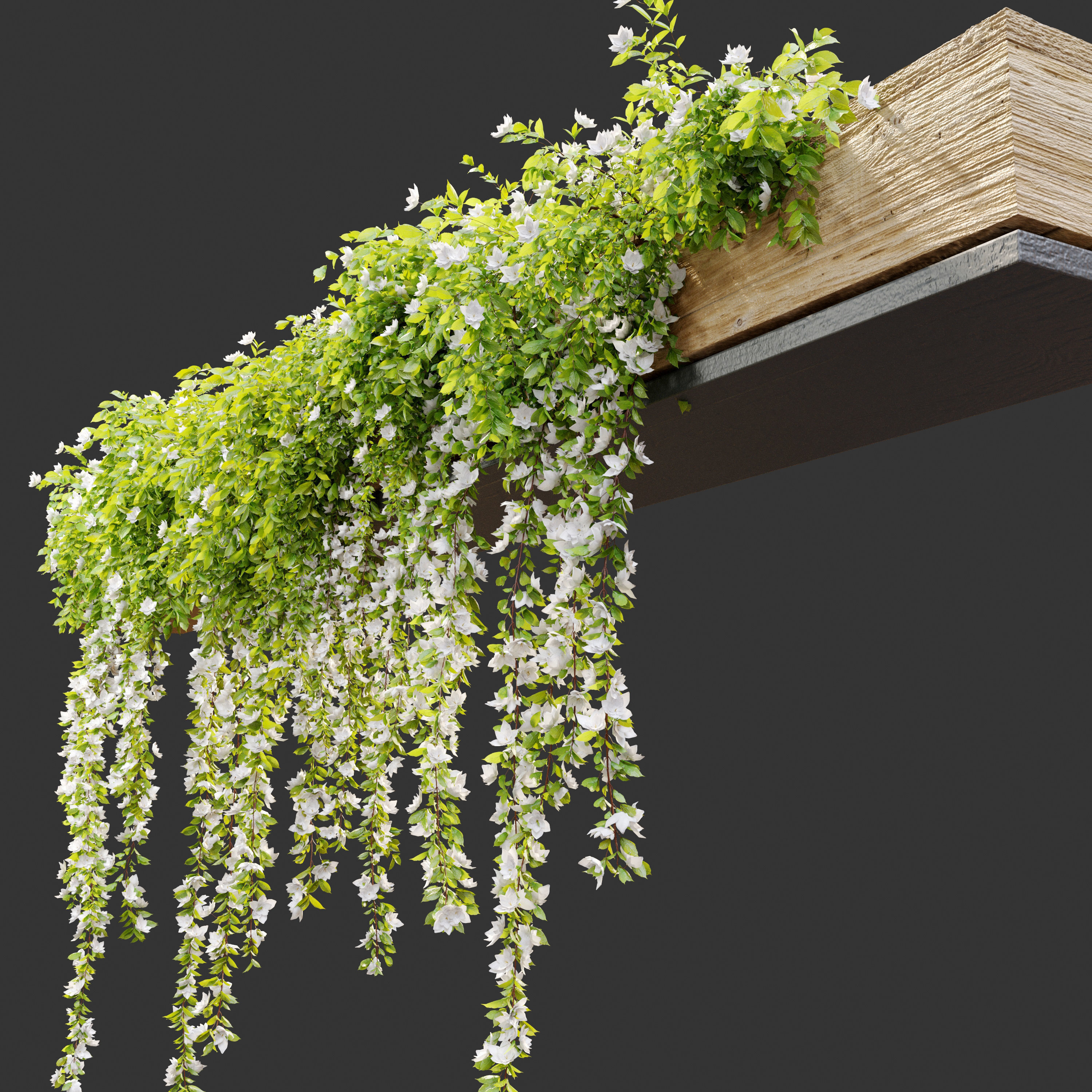 Hanging Plant 19 3D model_2