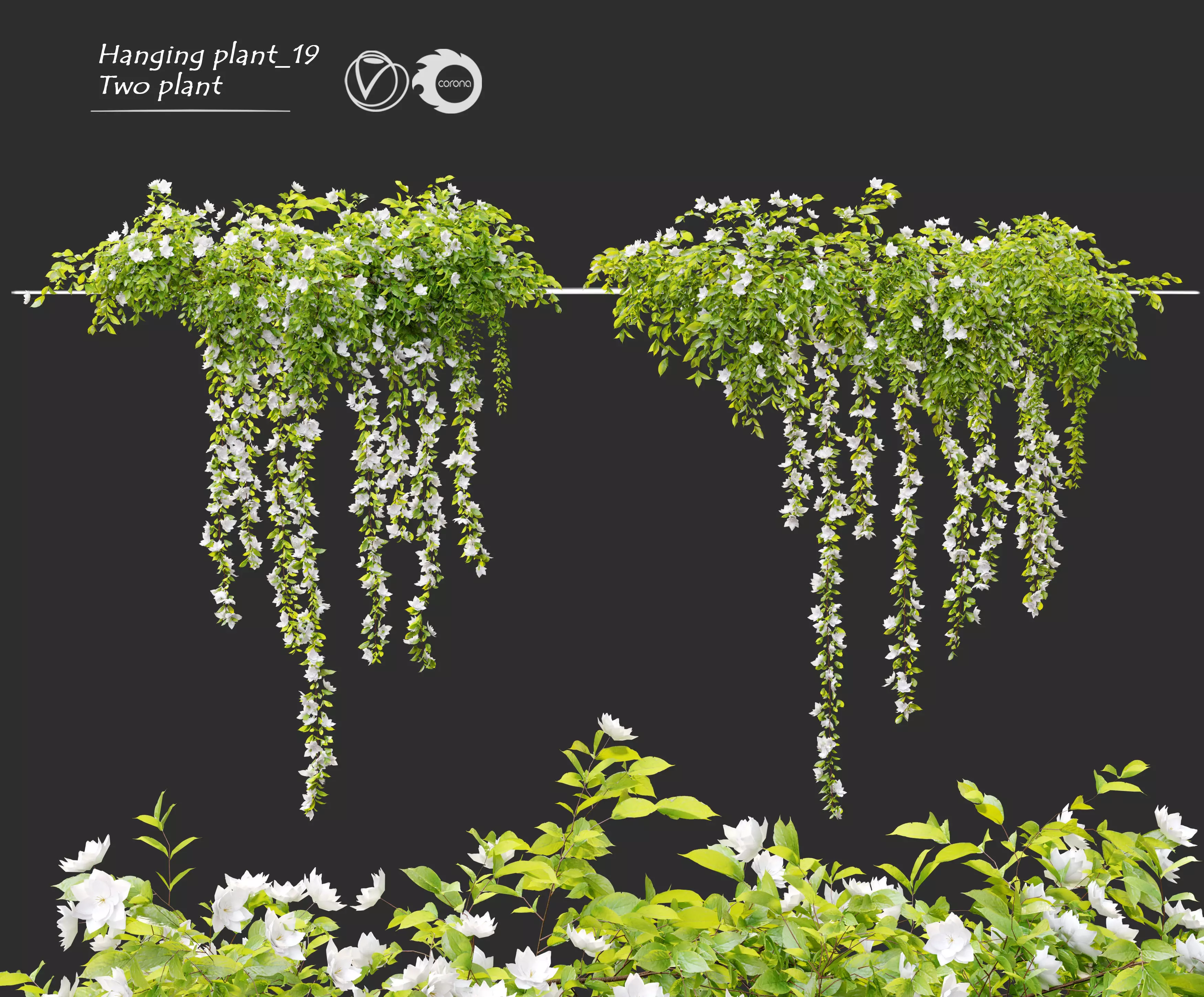Hanging Plant 19 3D model_0