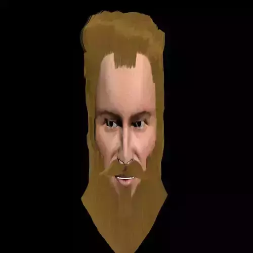   head the king- lion 3D model