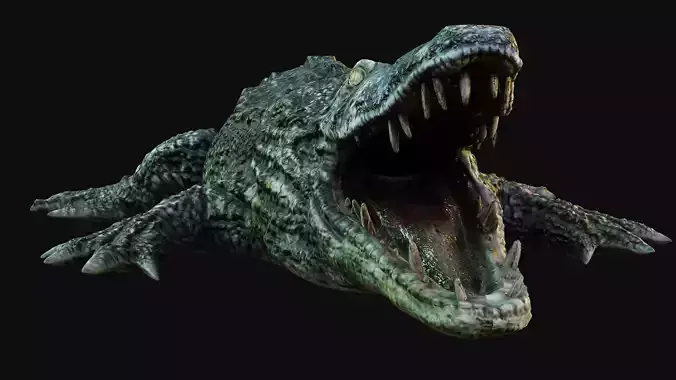 Crocodile alligator