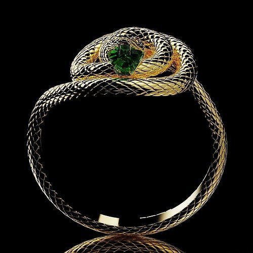 Ring Snake 3D print model