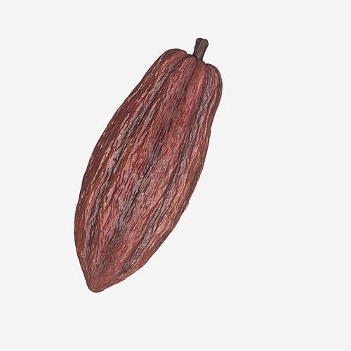 Cocoa Pod 3D model 4