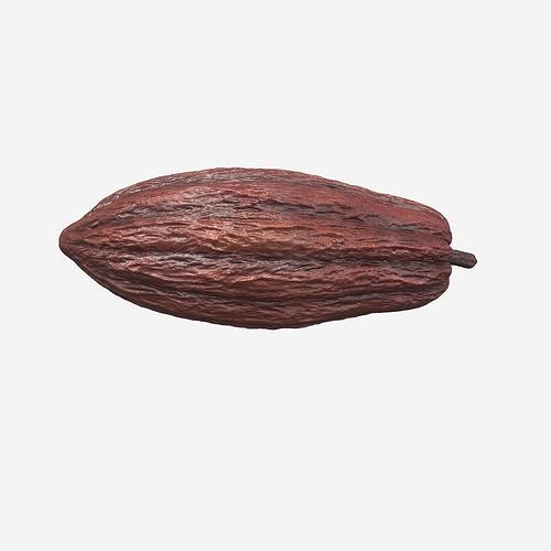 Cocoa Pod 3D model 3