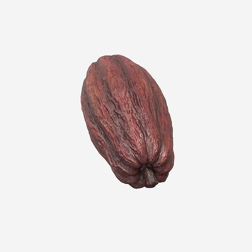 Cocoa Pod 3D model 2