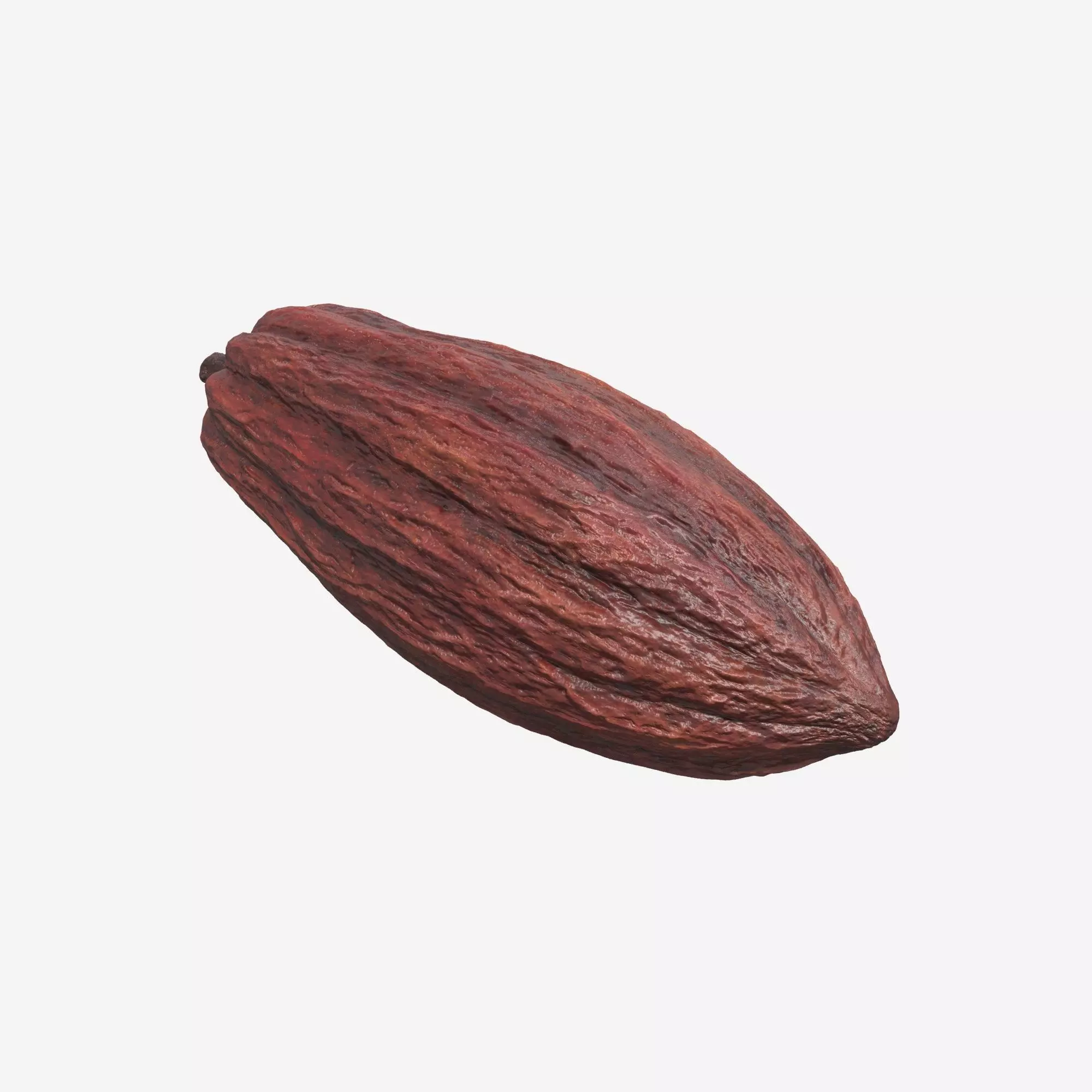 Cocoa Pod 3D model