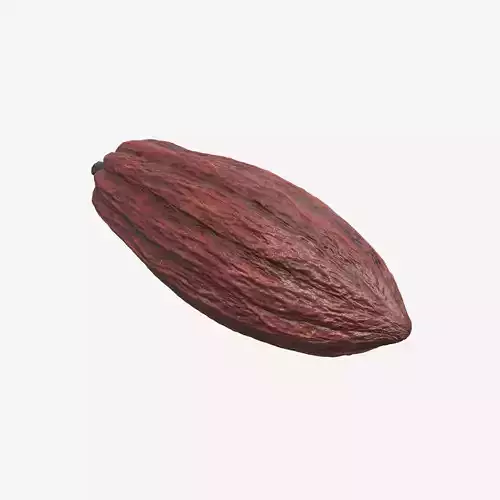 Cocoa Pod