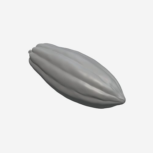 Cocoa Pod 3D model 5