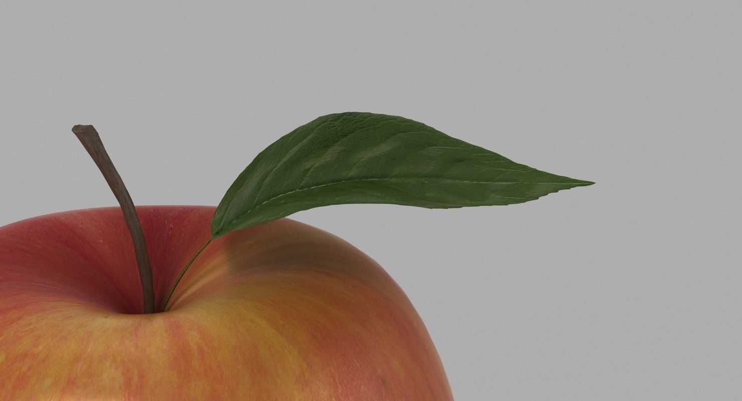 Apple 001 3D model_6