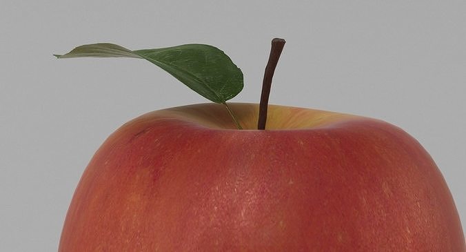 Apple 001 3D model 5