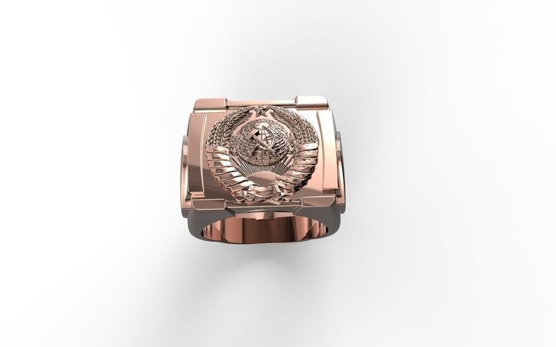 ring sssr Free 3D print model_1