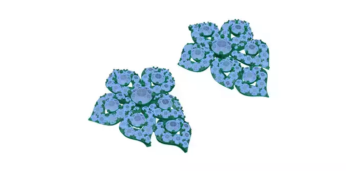 earring pair of flower earrings