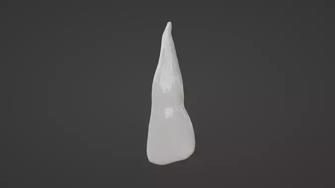 The upper lateral teeth v2 3D model