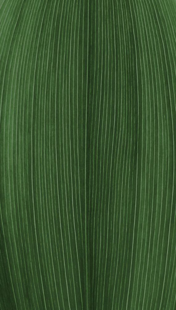 tables dining table and chairs 3D model_3