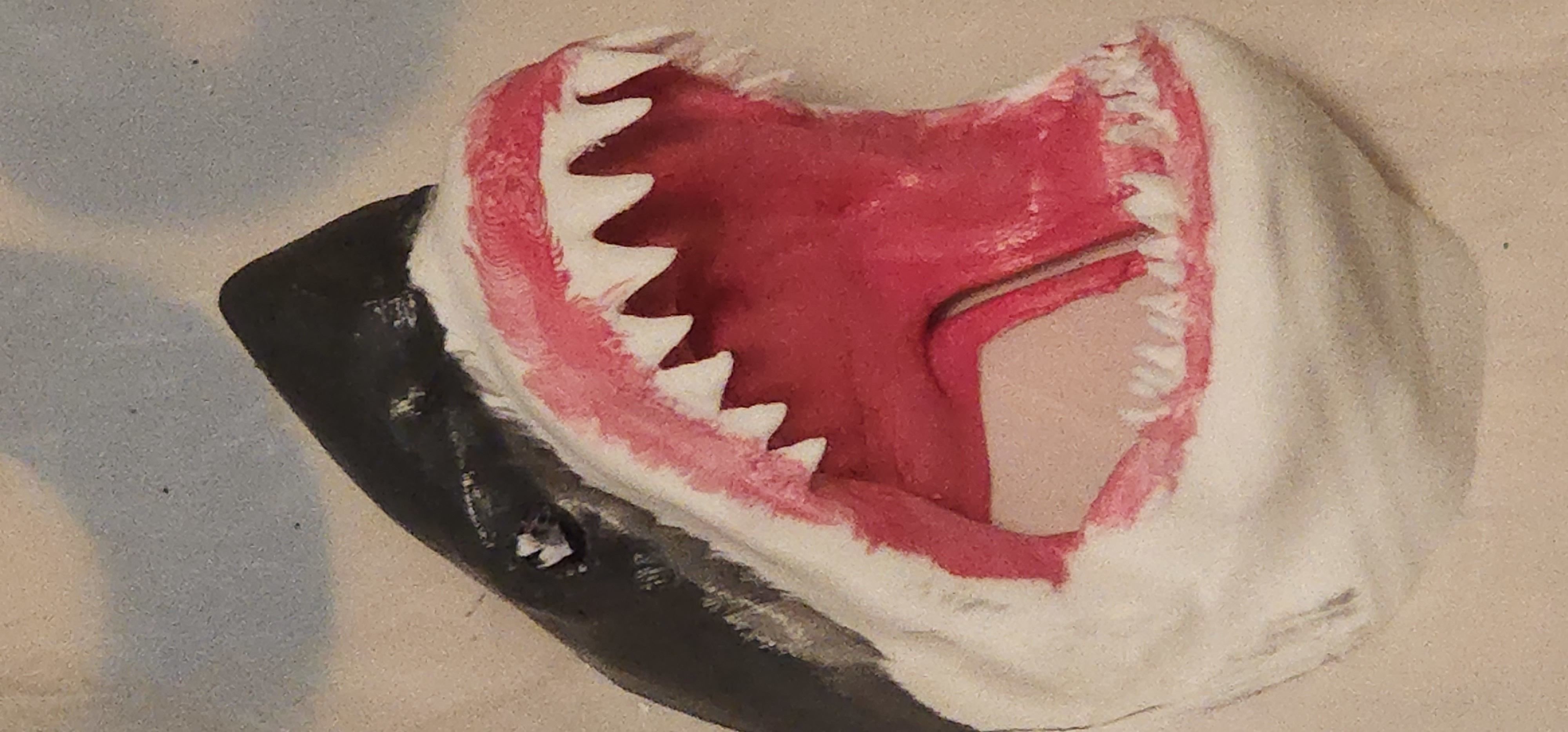 Great White Shark 3D model_4