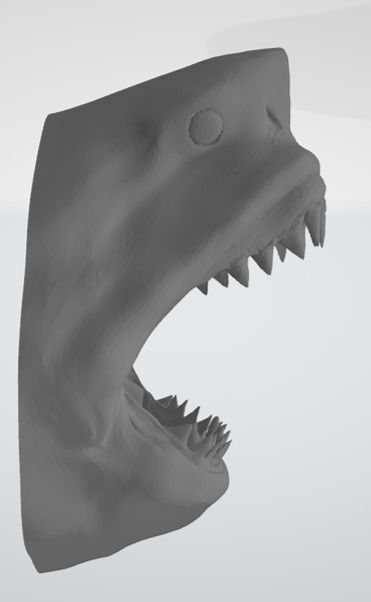 Great White Shark 3D model_9