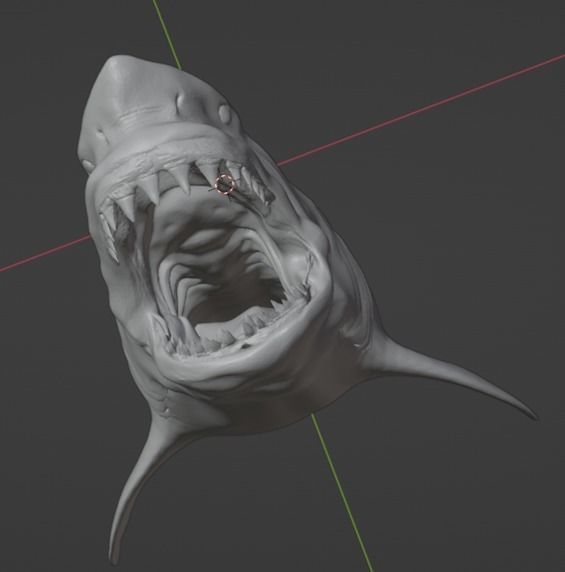 Great White Shark 3D model_1