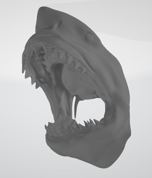 Great White Shark 3D model_8