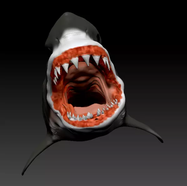 Great White Shark 3D model_0