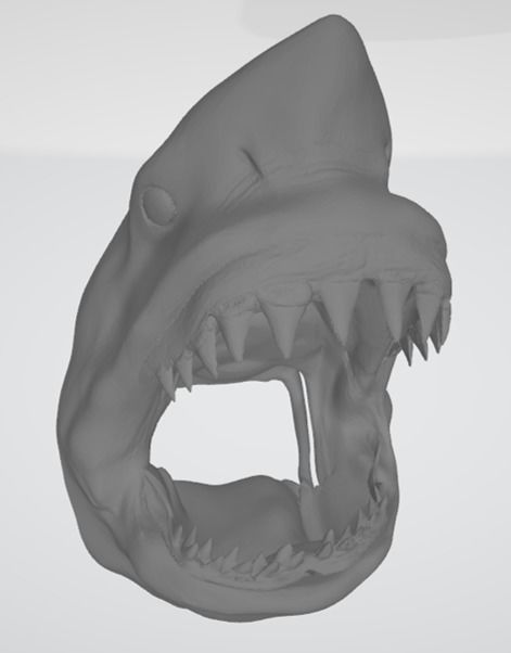 Great White Shark 3D model_6