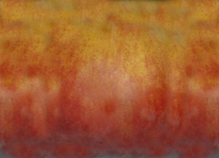 Large banquet table 3D model_3