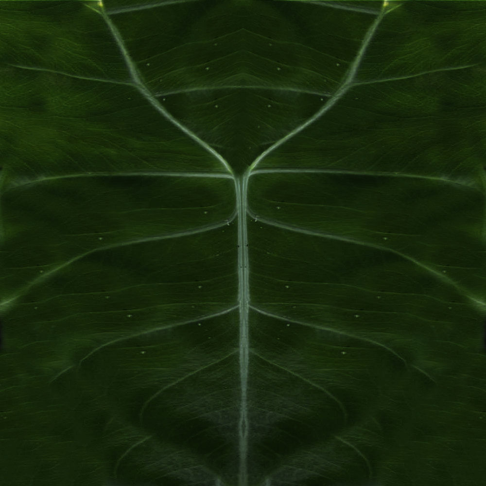 Large banquet round table 3D model_2