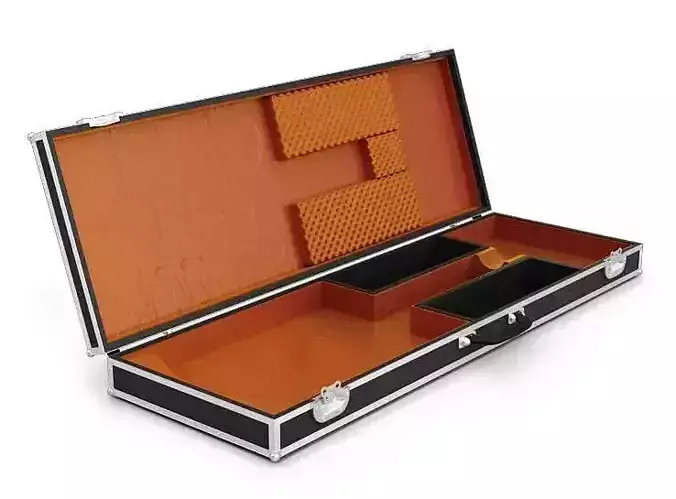 Black And Silver Guitar Case With Orange Lining