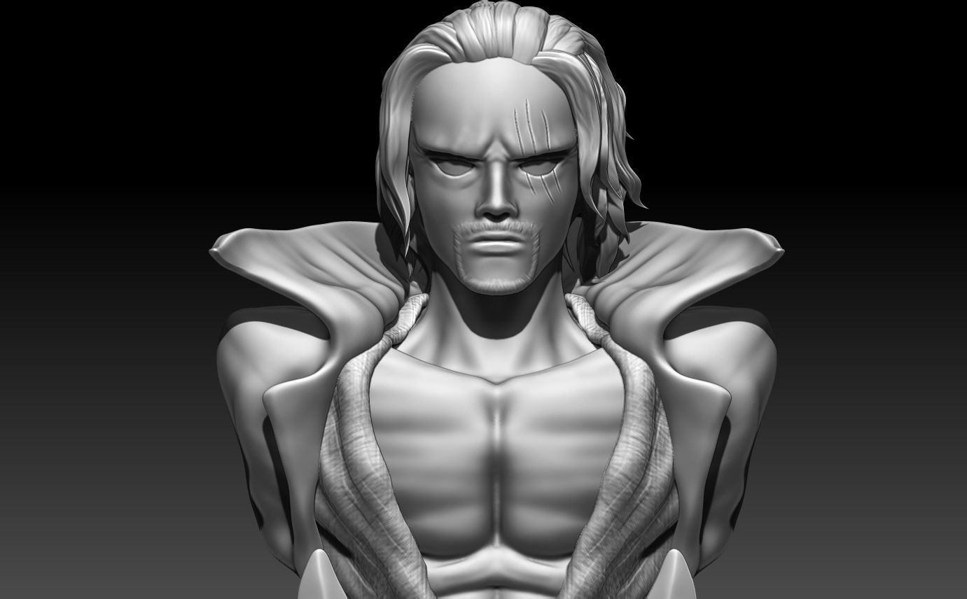 Shanks bust  3D print model_1