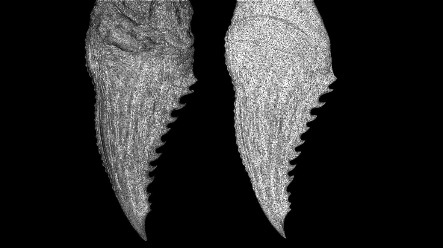 3D PRINTABLE DAY SHIFT MOVIE EXTRACTED VAMPIRE FANGS 3D print model_10