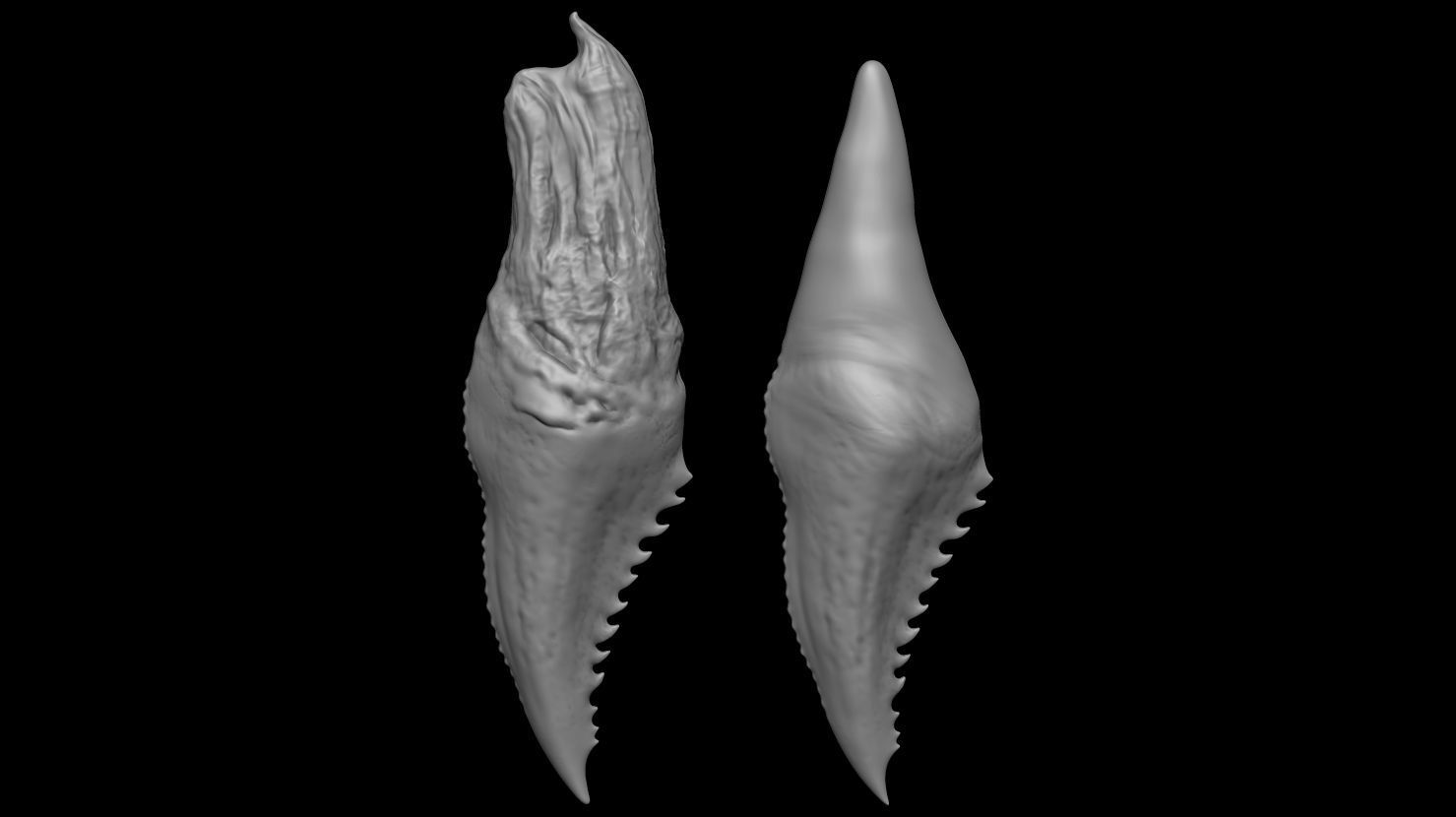 3D PRINTABLE DAY SHIFT MOVIE EXTRACTED VAMPIRE FANGS 3D print model_3