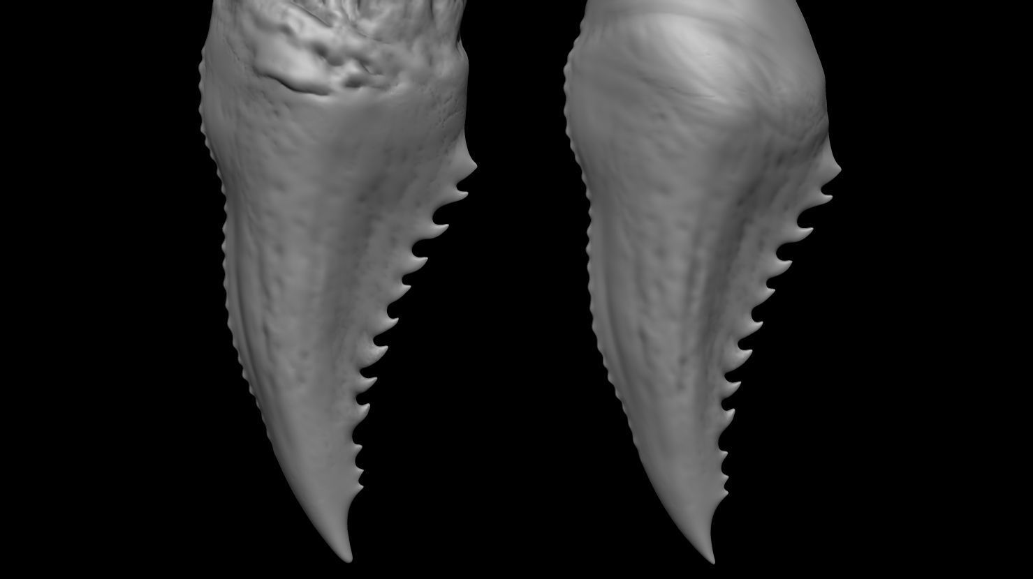 3D PRINTABLE DAY SHIFT MOVIE EXTRACTED VAMPIRE FANGS 3D print model_6