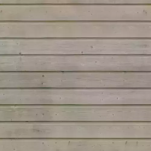 tropical scene on the beach