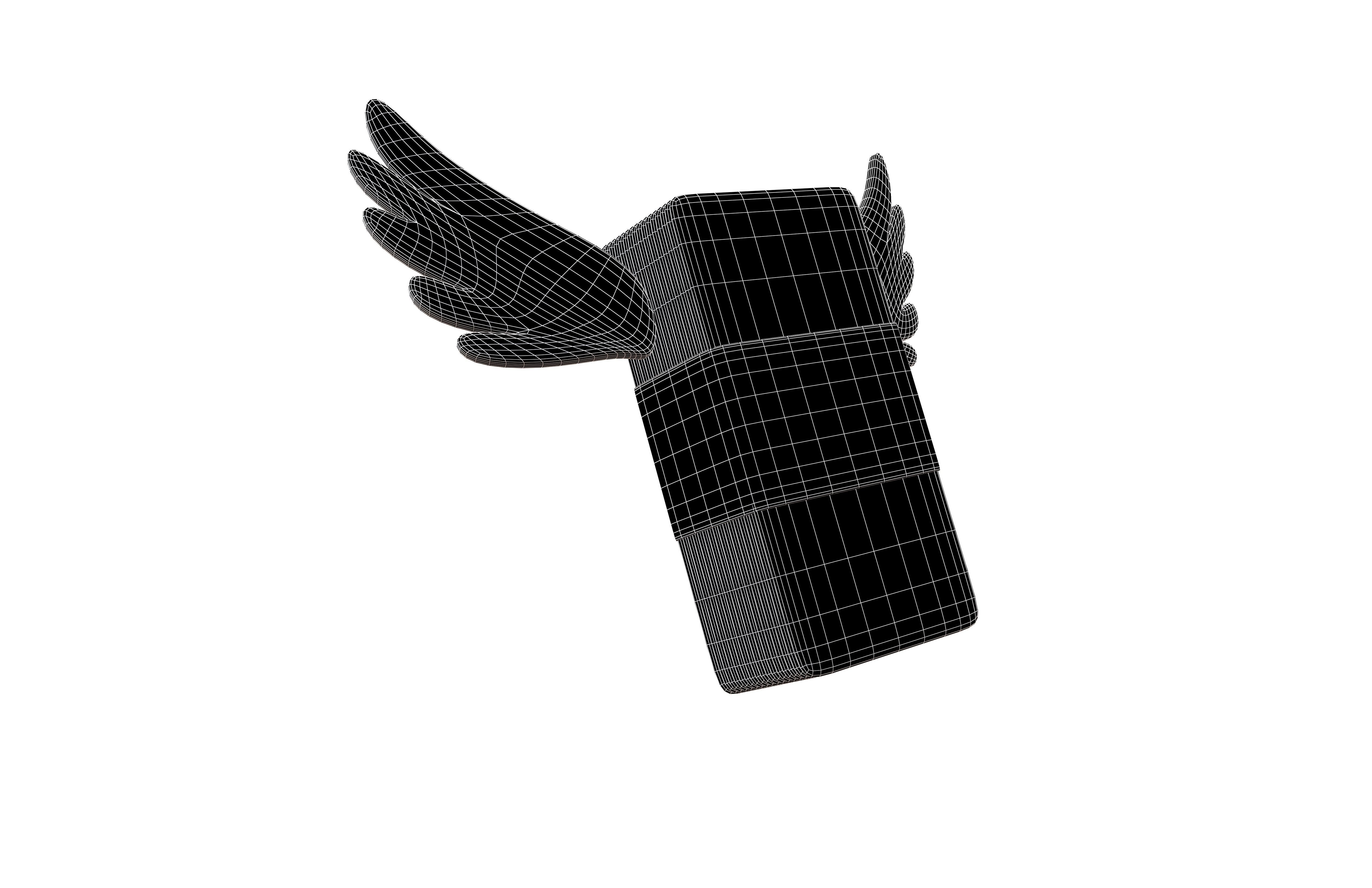 Cartoon Money With Wing V1 001 Low-poly 3D model_7