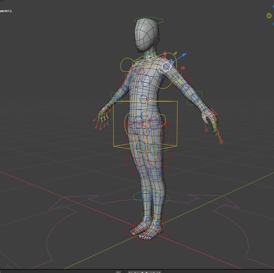 Base Man Rig Free low-poly 3D model_4