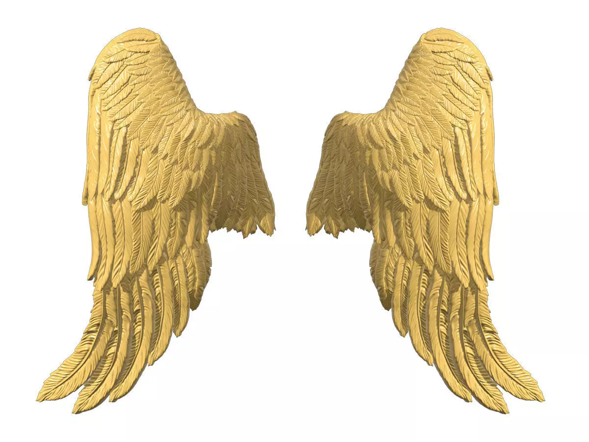 Wings Printable 05 3D print model_0