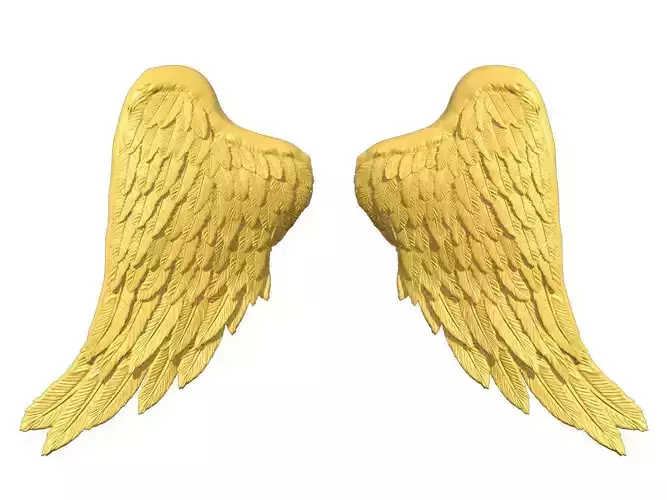 Wings Printable 06 3D print model
