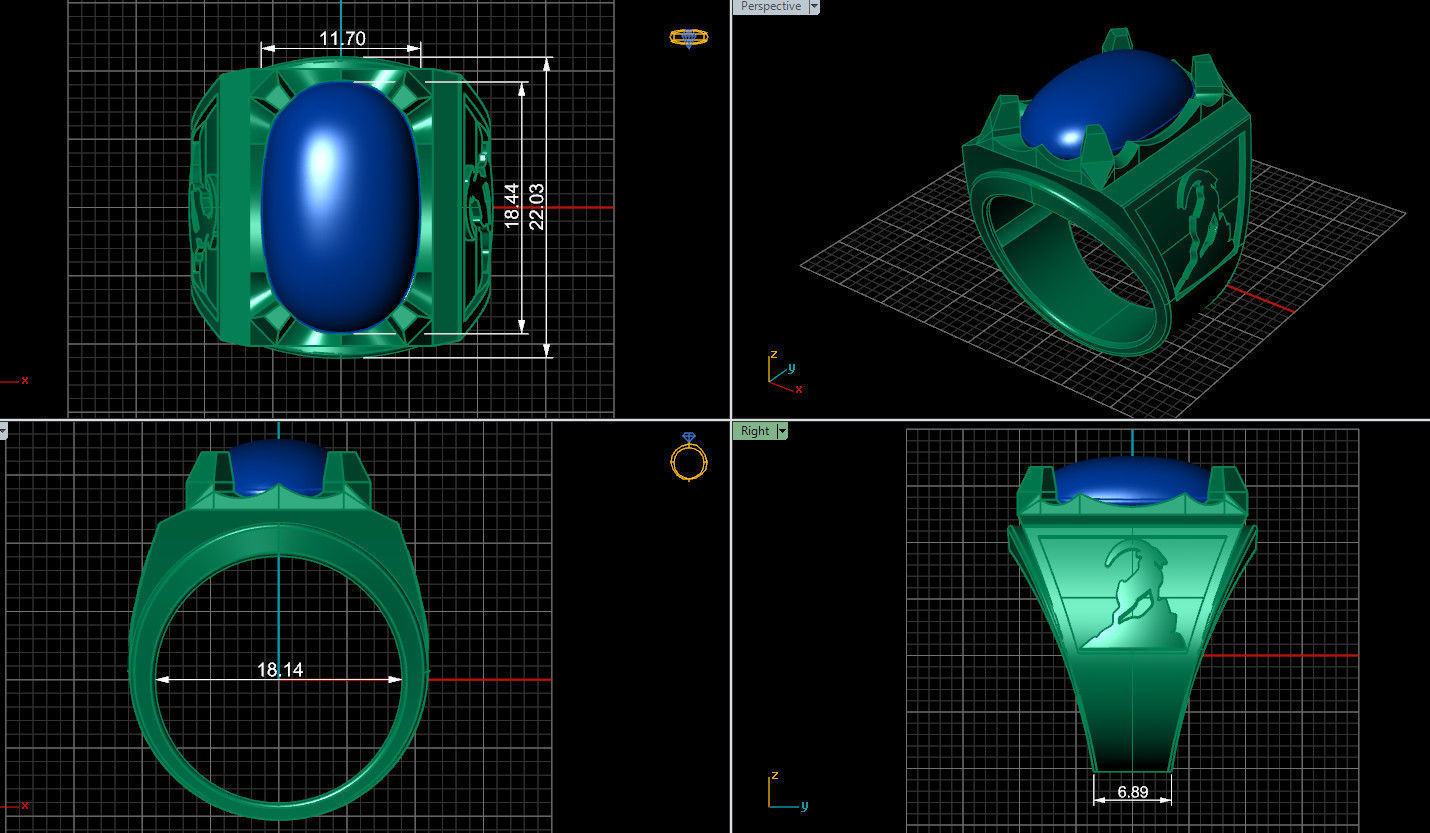 Ring 100  3D print model_6