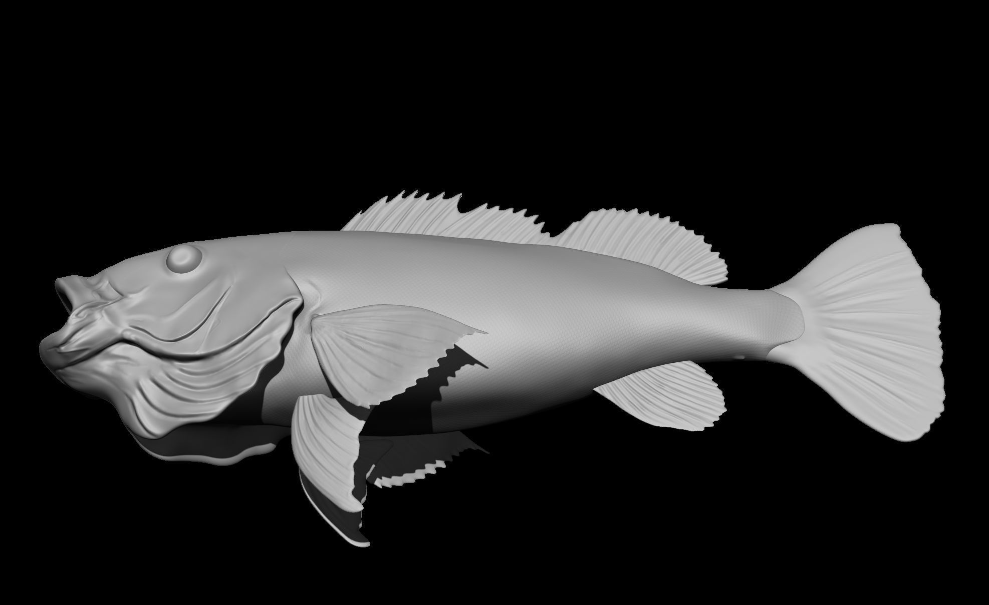 Perch Fish 3D print model_3