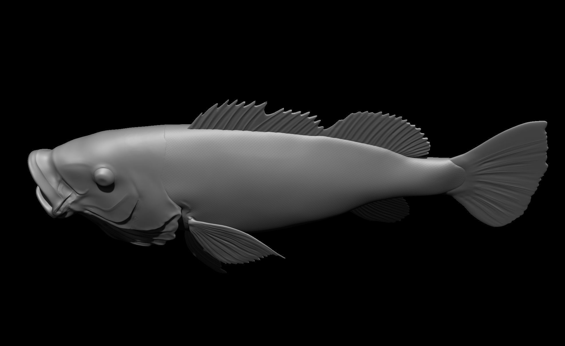 Perch Fish 3D print model_6