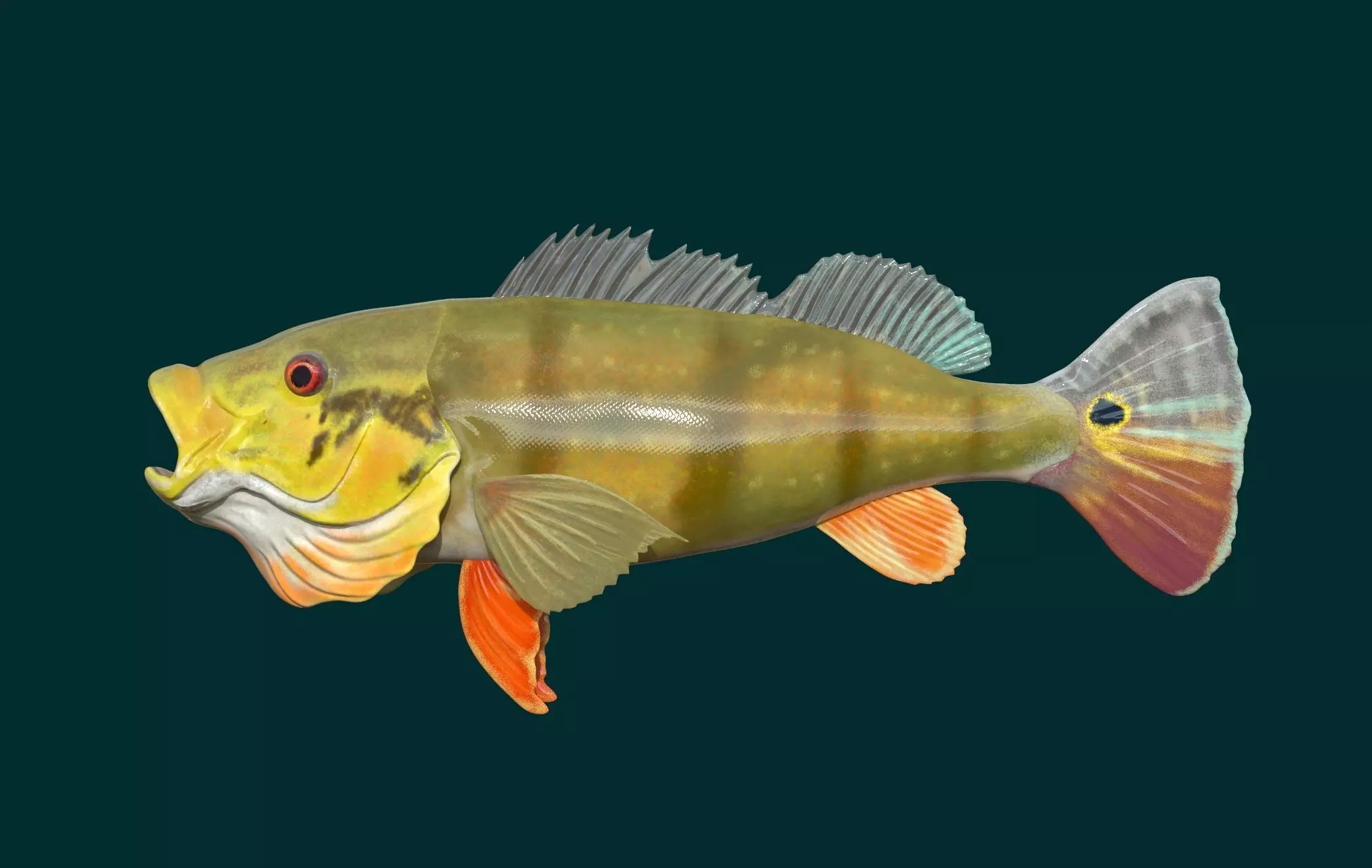 Perch Fish 3D print model_0