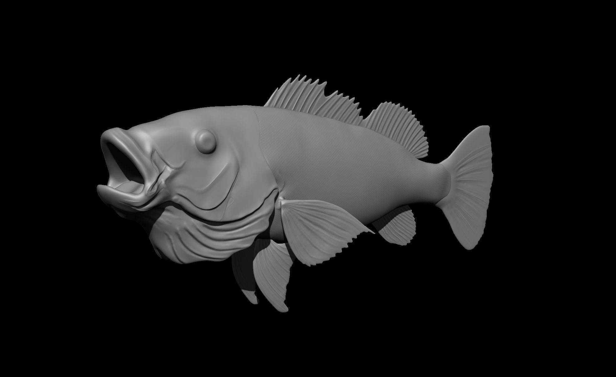 Perch Fish 3D print model_2