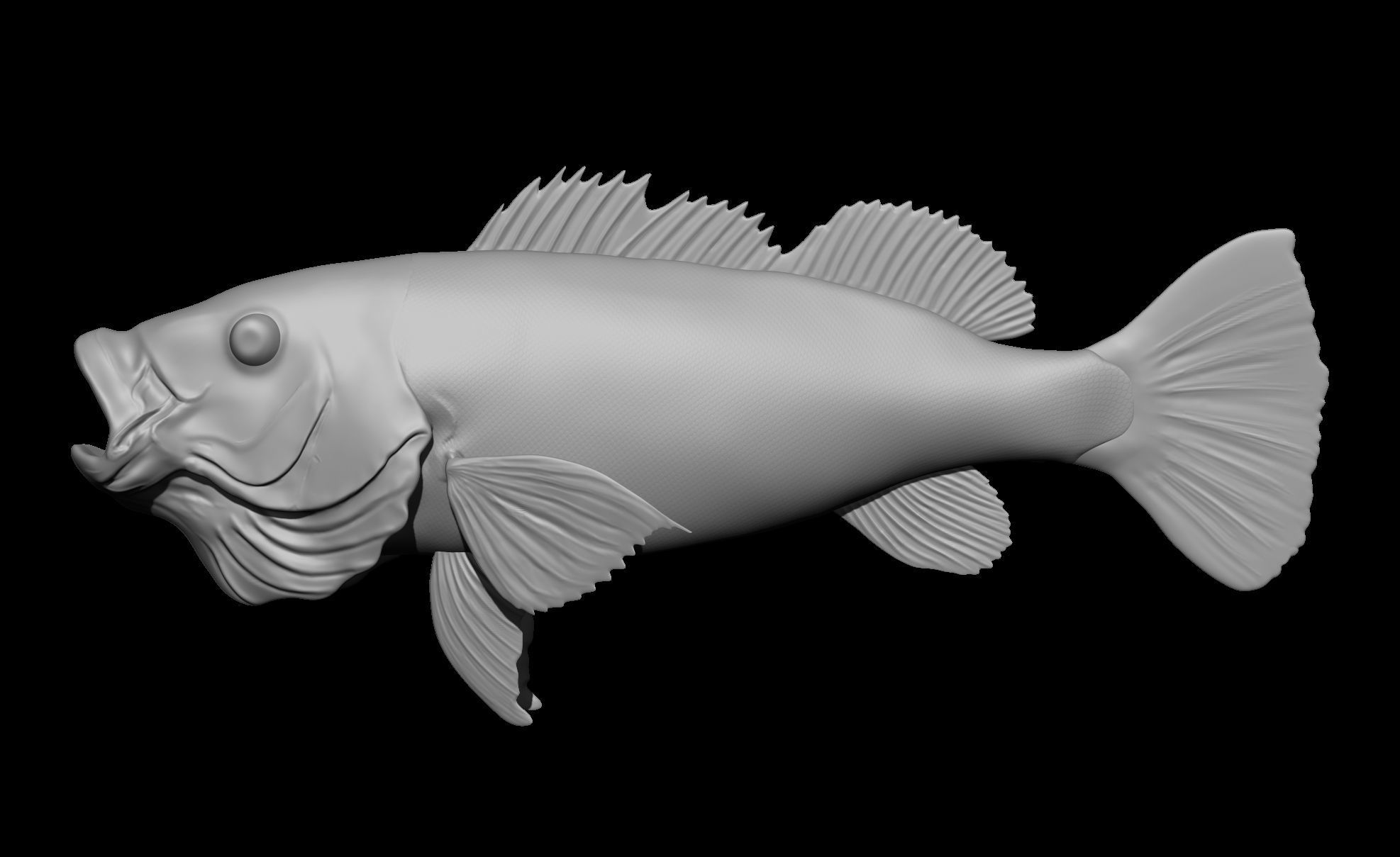Perch Fish 3D print model_1