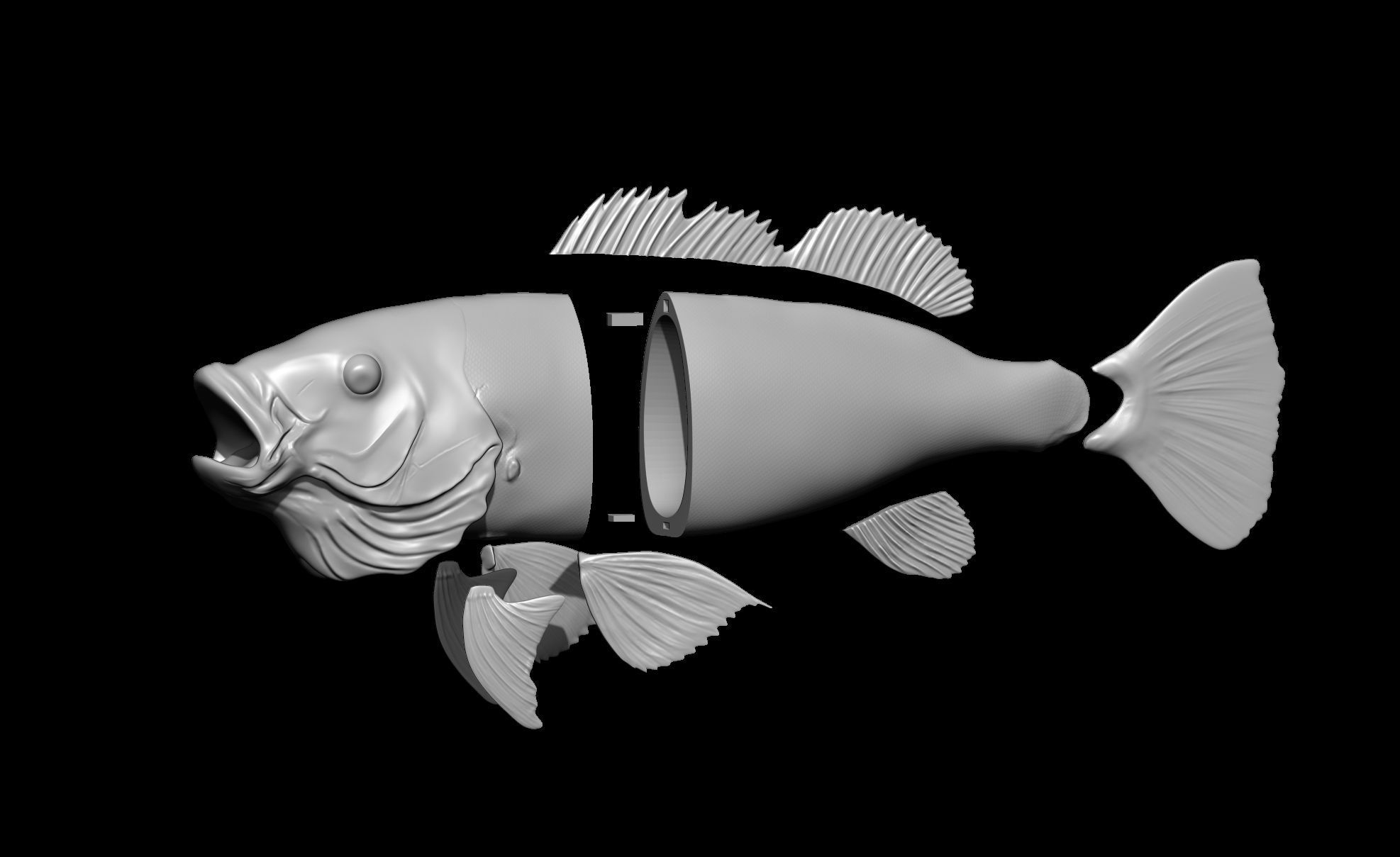 Perch Fish 3D print model_5