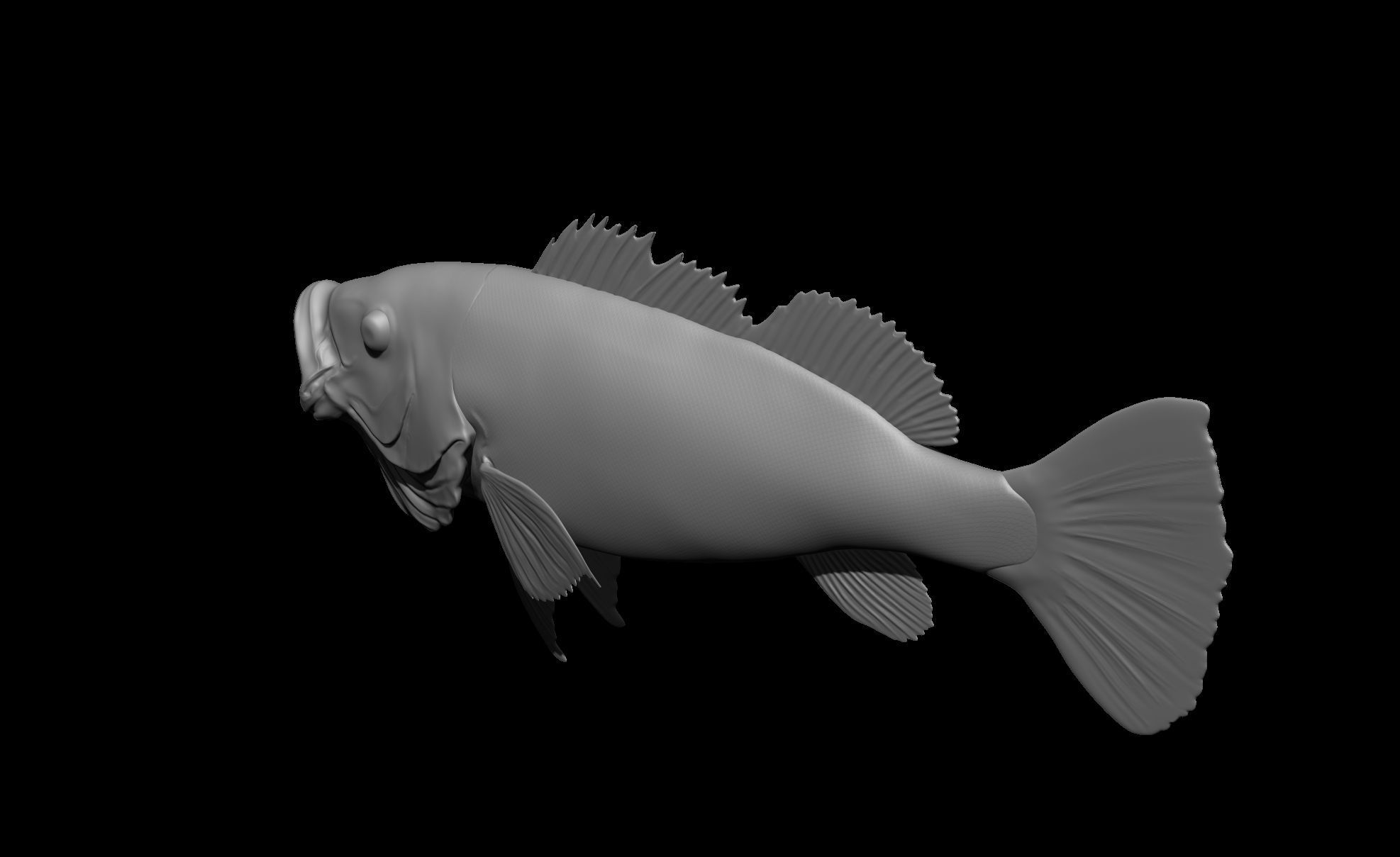 Perch Fish 3D print model_4