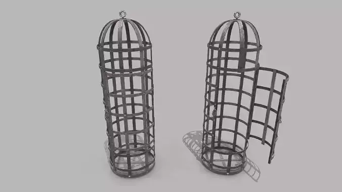 Metal Cage 1