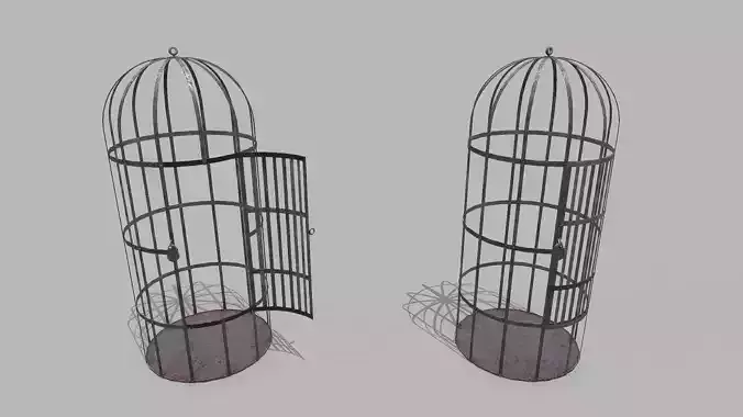 Metal Cage 2