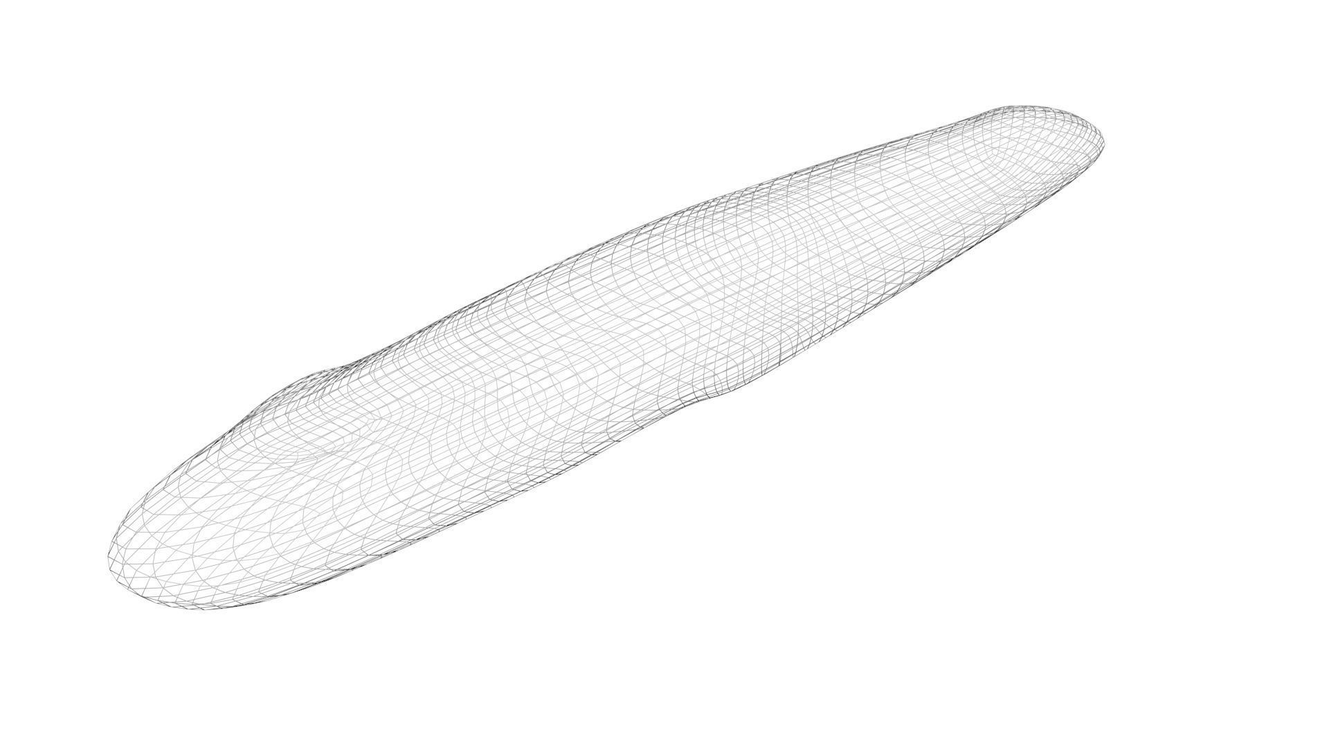 Baguette 3D model_10