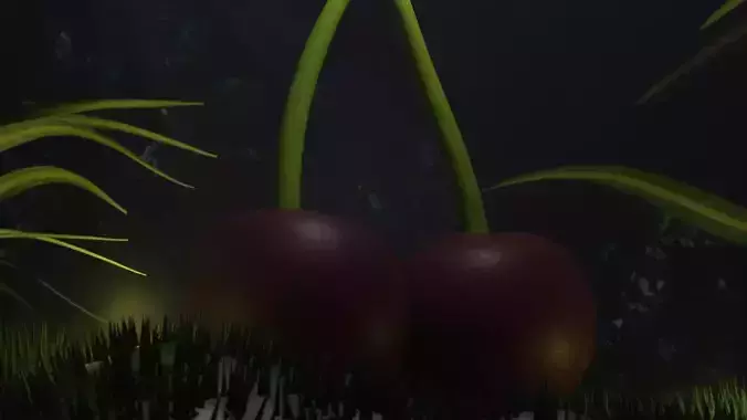 Cherry two cherries on branch