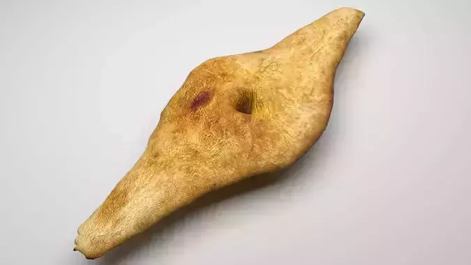 Shoti Puri 3D model